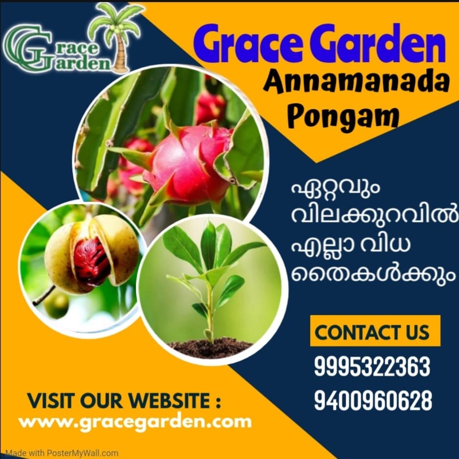 gallery gallery-image