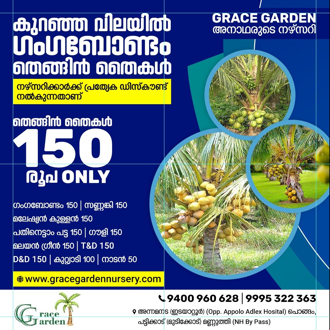gallery gallery-image